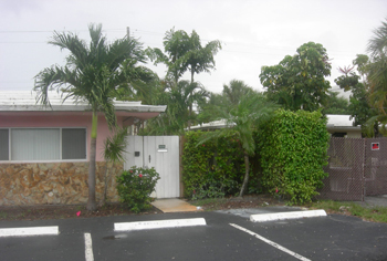 landscape cleanup and renovation